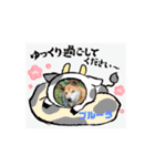 ピースワンコ保護犬スタンプ ワンだふるver（個別スタンプ：13）