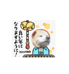 ピースワンコ保護犬スタンプ ワンだふるver（個別スタンプ：14）