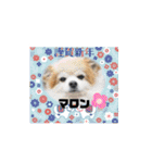 ピースワンコ保護犬スタンプ ワンだふるver（個別スタンプ：24）