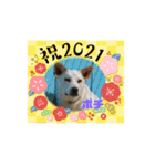 ピースワンコ保護犬スタンプ ワンだふるver（個別スタンプ：26）