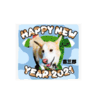 ピースワンコ保護犬スタンプ ワンだふるver（個別スタンプ：27）