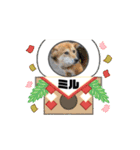 ピースワンコ保護犬スタンプ ワンだふるver（個別スタンプ：28）