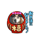 ピースワンコ保護犬スタンプ ワンだふるver（個別スタンプ：35）