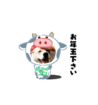 ピースワンコ保護犬スタンプ ワンだふるver（個別スタンプ：38）