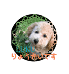 LUKEは天使4（個別スタンプ：1）