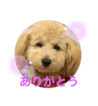 LUKEは天使4（個別スタンプ：8）