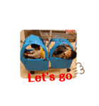 琉生くん琉愛ちゃん（個別スタンプ：28）