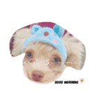 my pet tia roa shin（個別スタンプ：2）