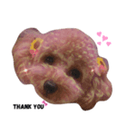 my pet tia roa shin（個別スタンプ：3）