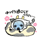 チワわんこのスタンプ（個別スタンプ：39）