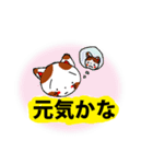 親しい人に使える優しいメッセージ（個別スタンプ：35）