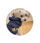 むぎちゃんの日常①（個別スタンプ：4）