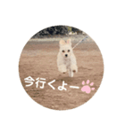 むぎちゃんの日常①（個別スタンプ：15）