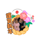 kurono ke（個別スタンプ：5）