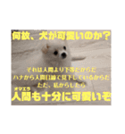 かわいいわんこスタンプ2（個別スタンプ：18）