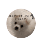 かわいいわんこスタンプ2（個別スタンプ：20）