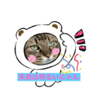 ダイゴです。。。（個別スタンプ：1）