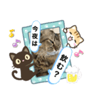 ダイゴです。。。（個別スタンプ：2）