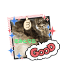 ダイゴです。。。（個別スタンプ：3）
