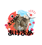 ダイゴです。。。（個別スタンプ：4）
