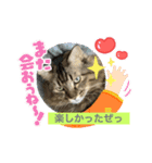 ダイゴです。。。（個別スタンプ：6）