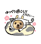 星家のワンコロスタンプ2（個別スタンプ：10）