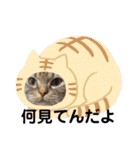「ニャン！」しらすスタンプ（個別スタンプ：5）