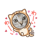 「ニャン！」しらすスタンプ（個別スタンプ：23）