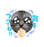 「ニャン！」しらすスタンプ（個別スタンプ：28）