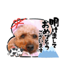 お正月〜チョコスタンプ（個別スタンプ：1）
