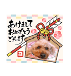 お正月〜チョコスタンプ（個別スタンプ：2）