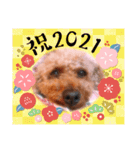 お正月〜チョコスタンプ（個別スタンプ：8）