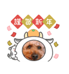 お正月〜チョコスタンプ（個別スタンプ：9）