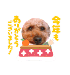 お正月〜チョコスタンプ（個別スタンプ：11）
