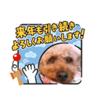 お正月〜チョコスタンプ（個別スタンプ：13）