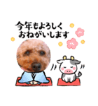 お正月〜チョコスタンプ（個別スタンプ：18）