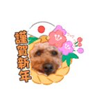 お正月〜チョコスタンプ（個別スタンプ：19）