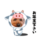 お正月〜チョコスタンプ（個別スタンプ：24）