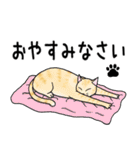 ねこちゃんいっぱい5 冬のねこちゃん（個別スタンプ：19）