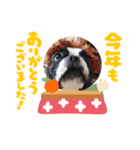 2021yフレブルモー‼️（個別スタンプ：1）