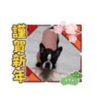 2021yフレブルモー‼️（個別スタンプ：5）