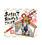 2021yフレブルモー‼️（個別スタンプ：7）