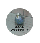 うちのインコ伝言（個別スタンプ：4）