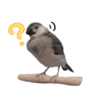 ベビーまめもち（個別スタンプ：1）