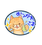 ぷにぷにねこちゃんすたんぷ（個別スタンプ：13）