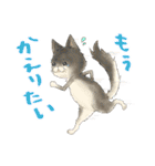 ぷにぷにねこちゃんすたんぷ（個別スタンプ：14）