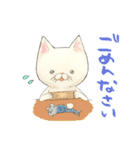 ぷにぷにねこちゃんすたんぷ（個別スタンプ：20）