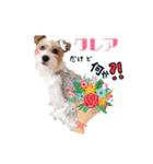 ♡クレアファミリーご挨拶編♡（個別スタンプ：8）