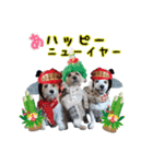 ♡クレアファミリーご挨拶編♡（個別スタンプ：14）