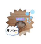 ハムすた ざらめちゃん♪（個別スタンプ：12）